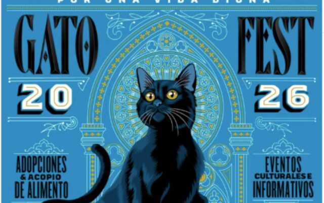 Gato Fest 2026 llega a CDMX: adopciones, bazar y una gran colecta para ayudar a más de 2 mil felinos