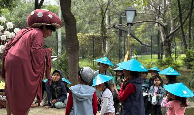 Vacaciones en CDMX: Los Pinos tendrá curso de verano gratuito para niñas, niños y adolescentes