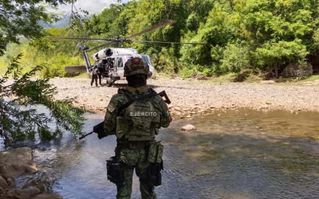 Harfuch reporta desmantelamiento simultáneo de tres laboratorios clandestinos en Guerrero