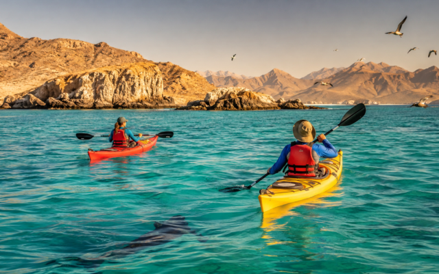 Bahía de Loreto en kayak: aventura entre islas y vida marina sin dejar huella